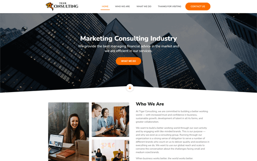  Tiger Consulting Co